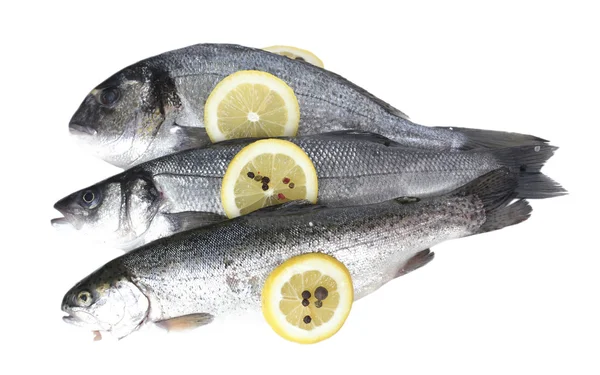 Friske fisk med citron og peber isoleret på hvid - Stock-foto