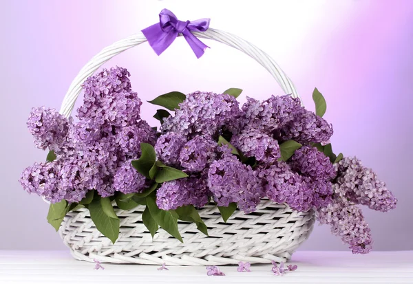 Gyönyörű lila virág kosár lila háttér — Stock Fotó