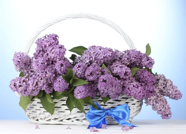 Mooie lila bloemen in mand op blauwe achtergrond — Stockfoto