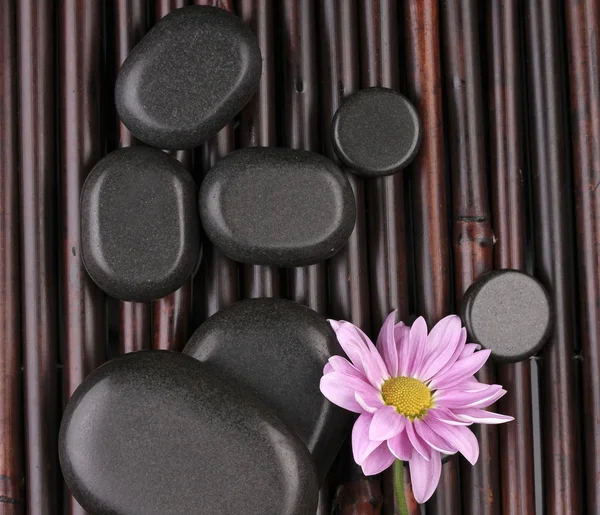 Wellness kameny a květiny na bambusové rohoži — Stock fotografie