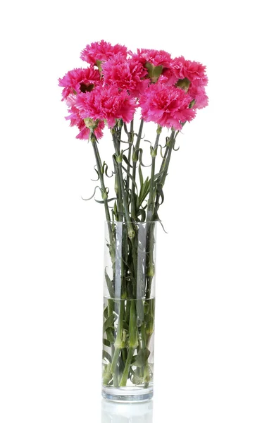 Bonitos cravos cor-de-rosa em vaso de vidro isolado em branco — Fotografia de Stock