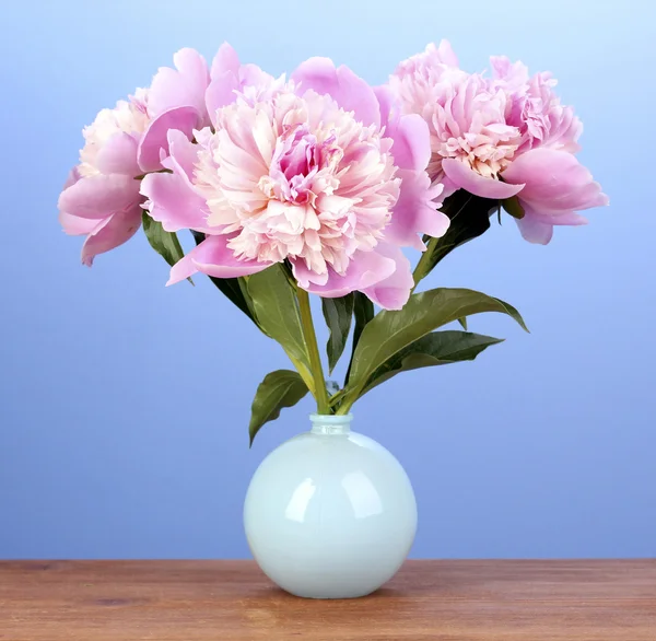 푸른 배경에 나무 테이블에 꽃병에 3 핑크 모란 — 스톡 사진