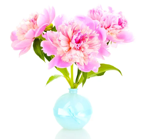 Tres peonías rosadas en jarrón aisladas en blanco —  Fotos de Stock