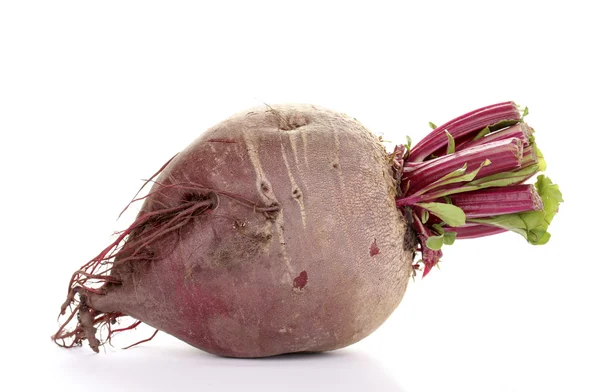 Young red beet isolated on white — Stock Photo, Image