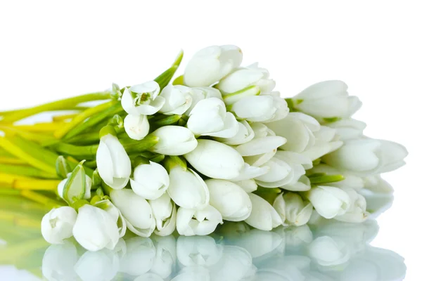 白で隔離される snowdrops の美しい花束 — ストック写真