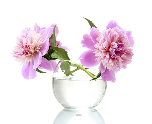 Růžové pivoňky květiny ve váze, izolované na bílém — Stock fotografie