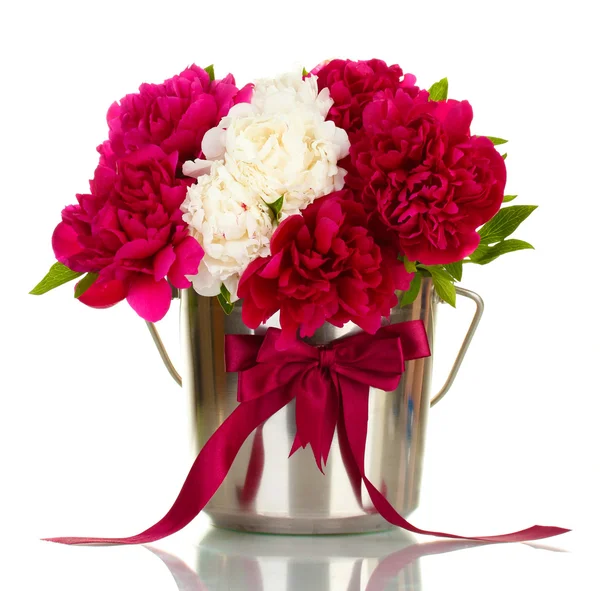 Beautiful pink and white peonies in bucket with bow isolated on white — Stock Photo, Image