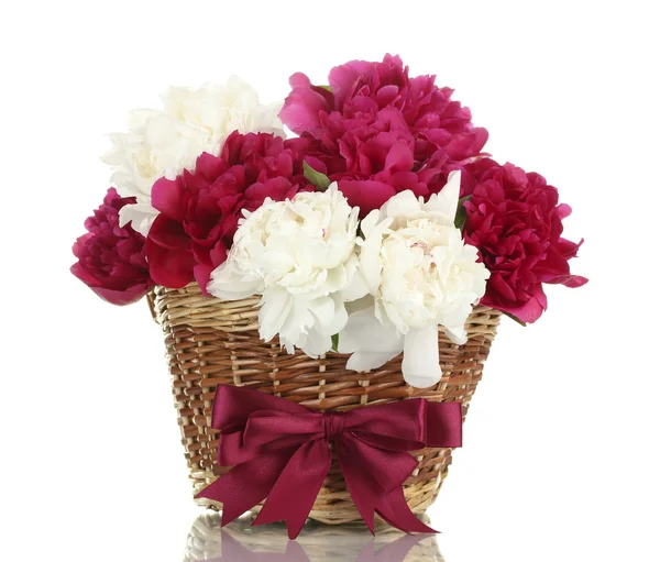 Piękne różowe i białe Peonie w kosz z kokardą na białym tle — Zdjęcie stockowe