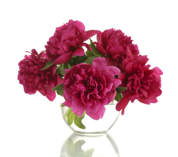 Beautiful pink peonies in glass vase isolated on white — Stock Photo, Image