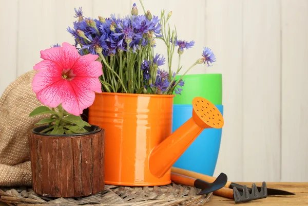 Annaffiatoio, attrezzi e fiori su fondo di legno — Foto Stock