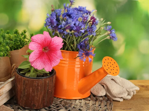 Полив банки и цветы на деревянном столе на зеленом фоне — стоковое фото