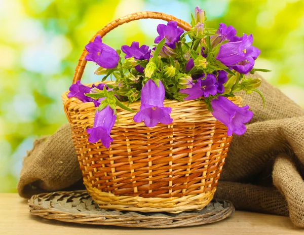 Голубой колокольчик цветы в корзине и мешковина ткани на деревянном столе на зеленом фоне — стоковое фото