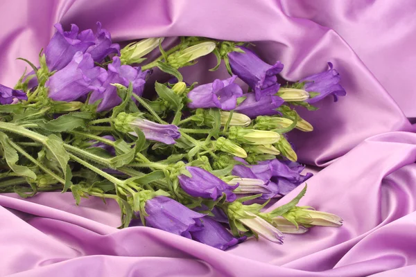 Синие колокольчики на фиолетовой шелковой ткани — стоковое фото
