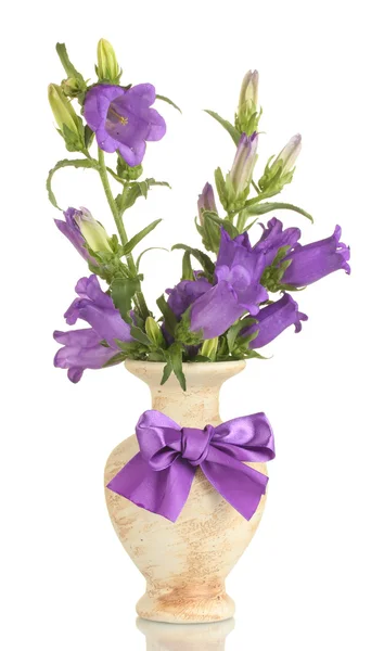 Blaue Glockenblumen in der Vase isoliert auf weiß — Stockfoto