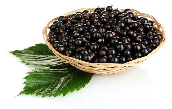 Fresh black currant in wicker basket isolated on white — Stock Photo, Image