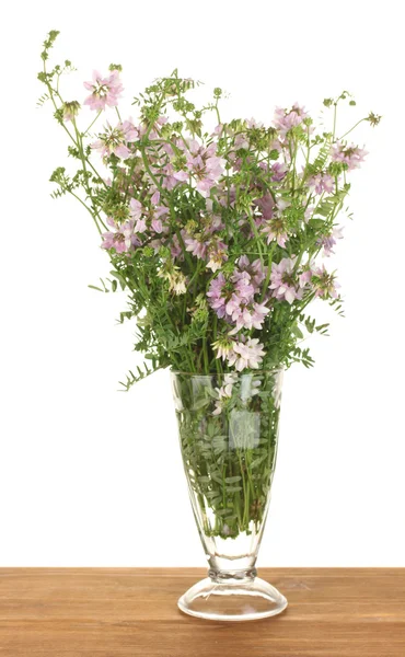 Bouquet di vicia in vaso trasparente su tavolo in legno su sfondo bianco — Foto Stock