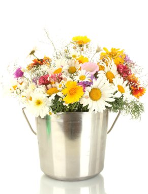 güzel beyaz izole metal kovada parlak çiçekler buket