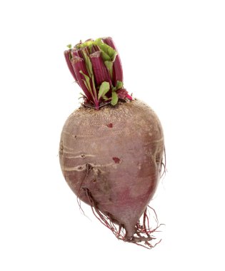 Young red beet isolated on white clipart