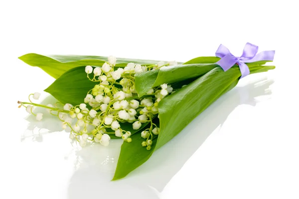 Bouquet of May-lilies isolated on white — Stok Foto