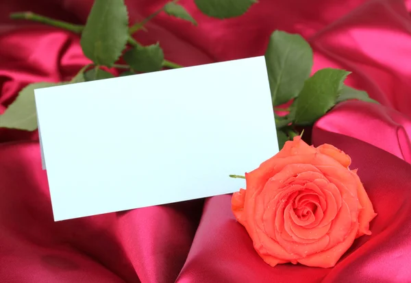 Mooie rose op rode doek — Stockfoto