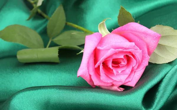 Mooie roos op groene doek — Stockfoto