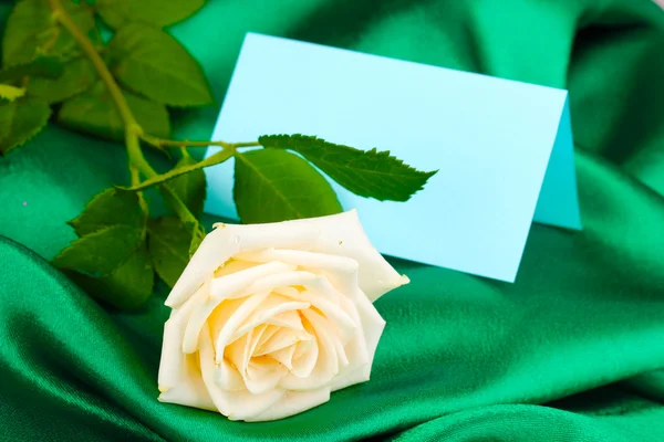 Piękna róża na zielonym suknem — Zdjęcie stockowe