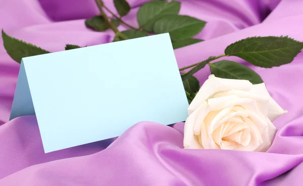 Piękna róża na tkaniny liliowy — Zdjęcie stockowe