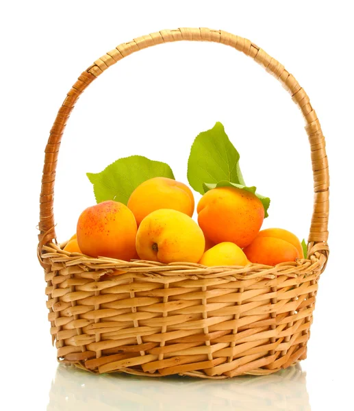 Rijp abrikozen met groene bladeren in mand geïsoleerd op wit — Stockfoto
