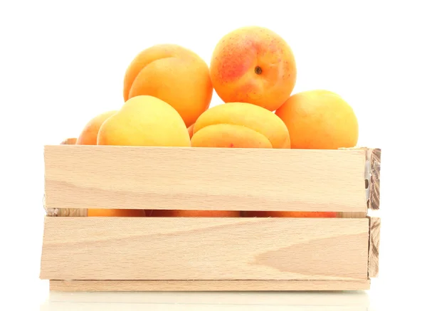 Mogna aprikoser i trälåda isolerad på vit — Stockfoto