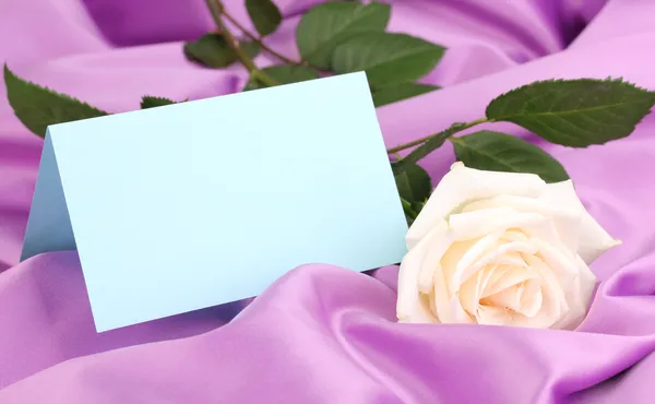 薄紫色の布の上の美しいバラ ストック画像