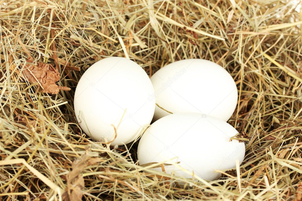 weiße Eier in ein Nest von HeuNahaufnahme — Stockfoto © belchonock