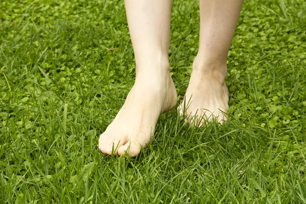 芝生の上を歩いて足 — ストック写真