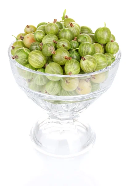 Green gooseberry in glass isolated on white — Stock Photo, Image