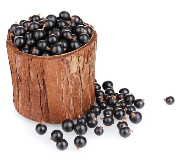 Ribes nero in tazza di legno isolato su bianco — Foto Stock