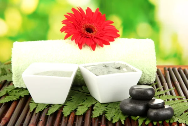 Kosmetik-Ton für Wellness-Behandlungen auf hellgrünem Hintergrund Nahaufnahme — Stockfoto