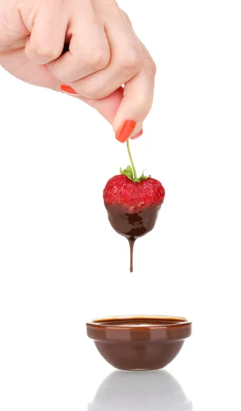 Main tenant fraise dans chocolat isolé sur blanc — Photo