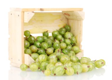 Green gooseberry in crate isolated on white clipart