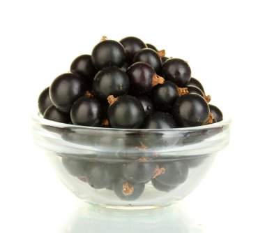 Fresh black currant in transparent bowl isolated on white