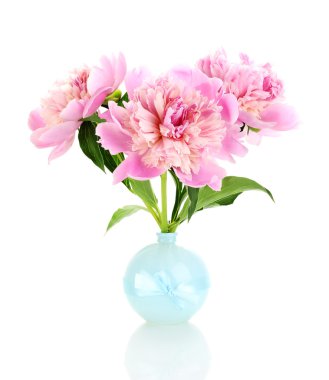 cam aranjman beyaz izole üç pembe peonies