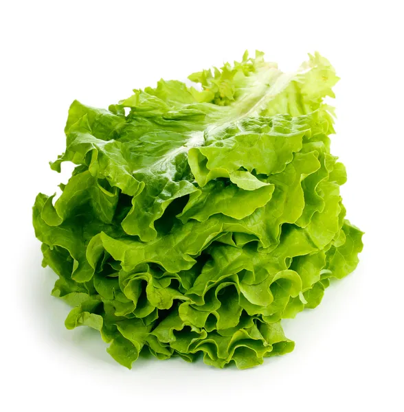 Свежий салат изолирован на белом — стоковое фото