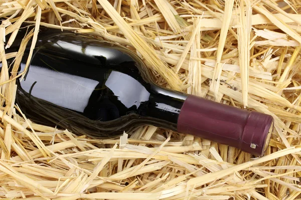 Üveg jó bor, széna — Stock Fotó
