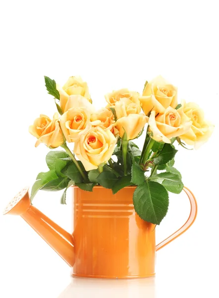 Piękny bukiet róż w konewka na białym tle — Zdjęcie stockowe