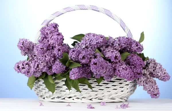 Belas flores lilás na cesta no fundo azul — Fotografia de Stock