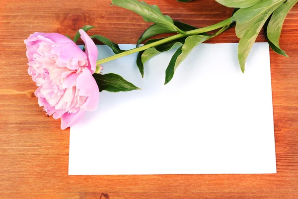 Розовый пион с открыткой на деревянном фоне — стоковое фото