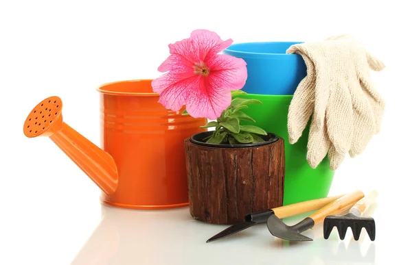 Watering can, tools and plant in flowerpot isolated on white — Stock Photo, Image