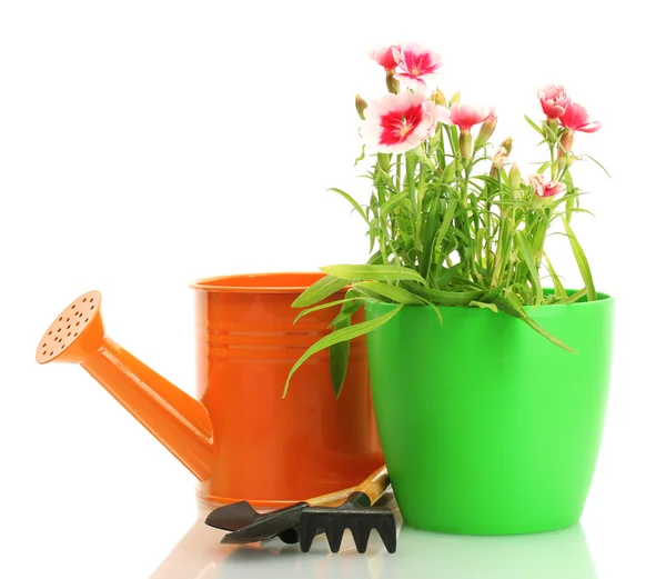 水まき缶、ツール、および白で隔離される植木鉢の植物 — ストック写真