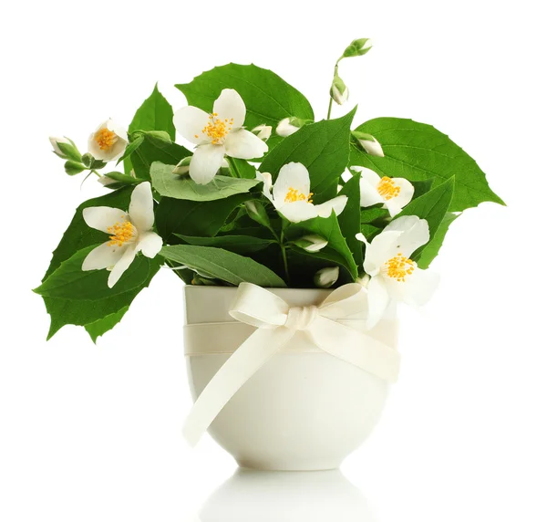 Szép jázmin virágok vázában elszigetelt fehér — Stock Fotó