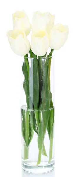 Belas tulipas em vaso de vidro isolado em branco — Fotografia de Stock