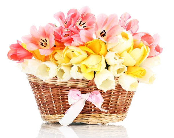 Hermosos tulipanes en cesta aislada en blanco — Foto de Stock