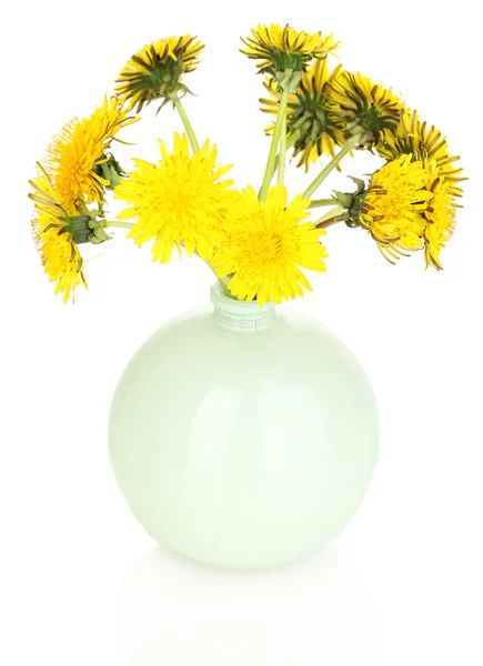 白で隔離される花瓶のタンポポの花 — ストック写真
